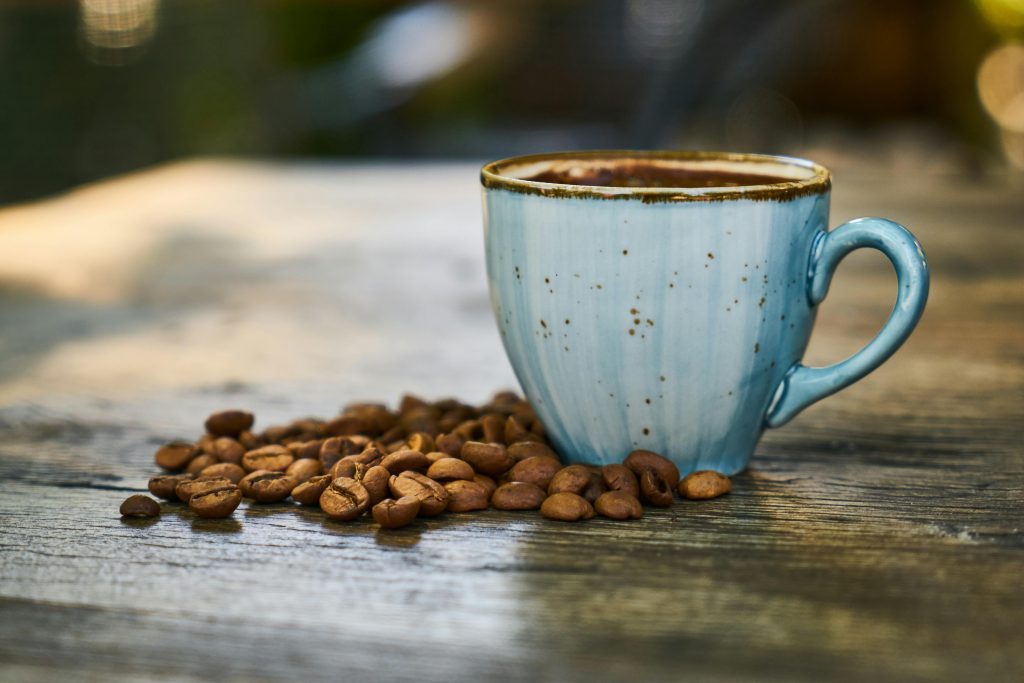 Best Organic & Ethical Brands